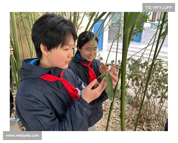 时光如竹,沉淀处自有拔节之声 时光如竹,沉淀处自有拔节之声