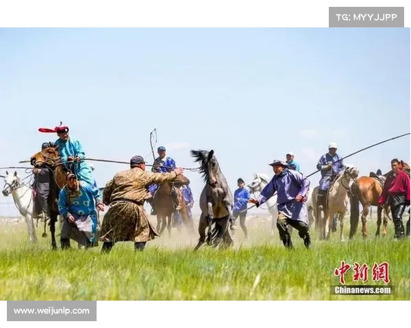 马背天骄:锡林郭勒草原驯马人的传奇与传承 马背天骄:锡林郭勒草原驯马人的传奇与传承