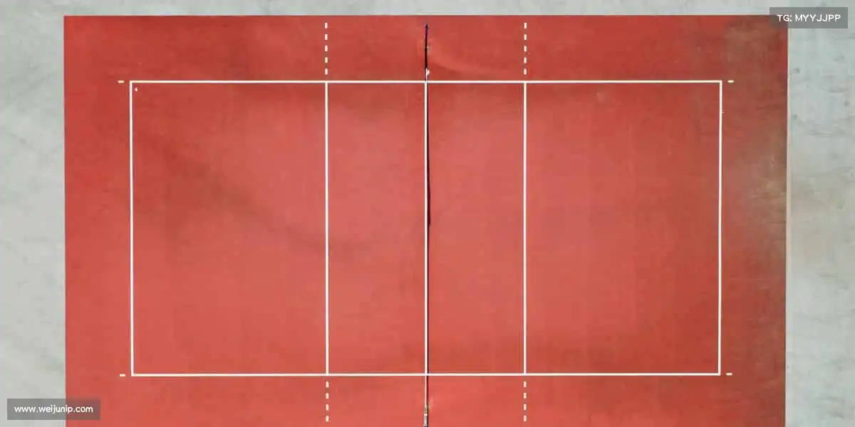 行业领先的理由